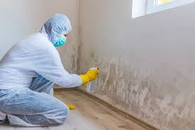 Best Asbestos and Lead Testing During Mold Inspection  in Urbana, IL