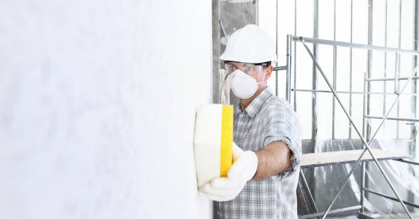 Best Basement Mold Removal  in Urbana, IL